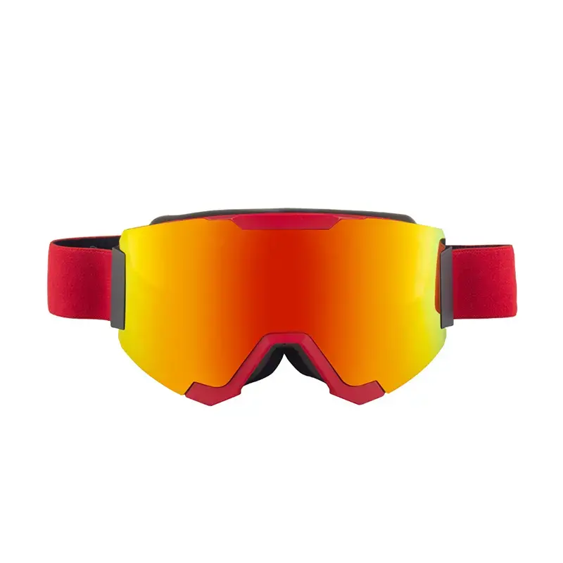 Magnetic Snow Goggles (2)