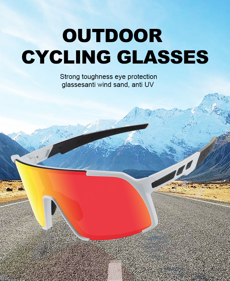 Polarized Lens Sunglasses