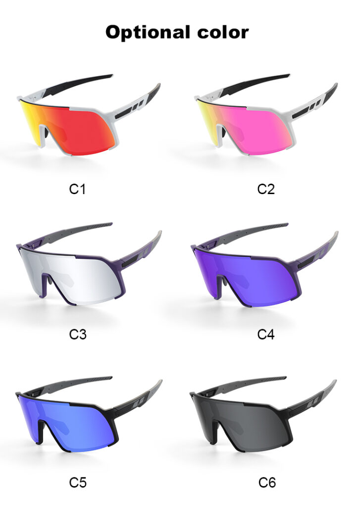 Polarized Lens Sunglasses1